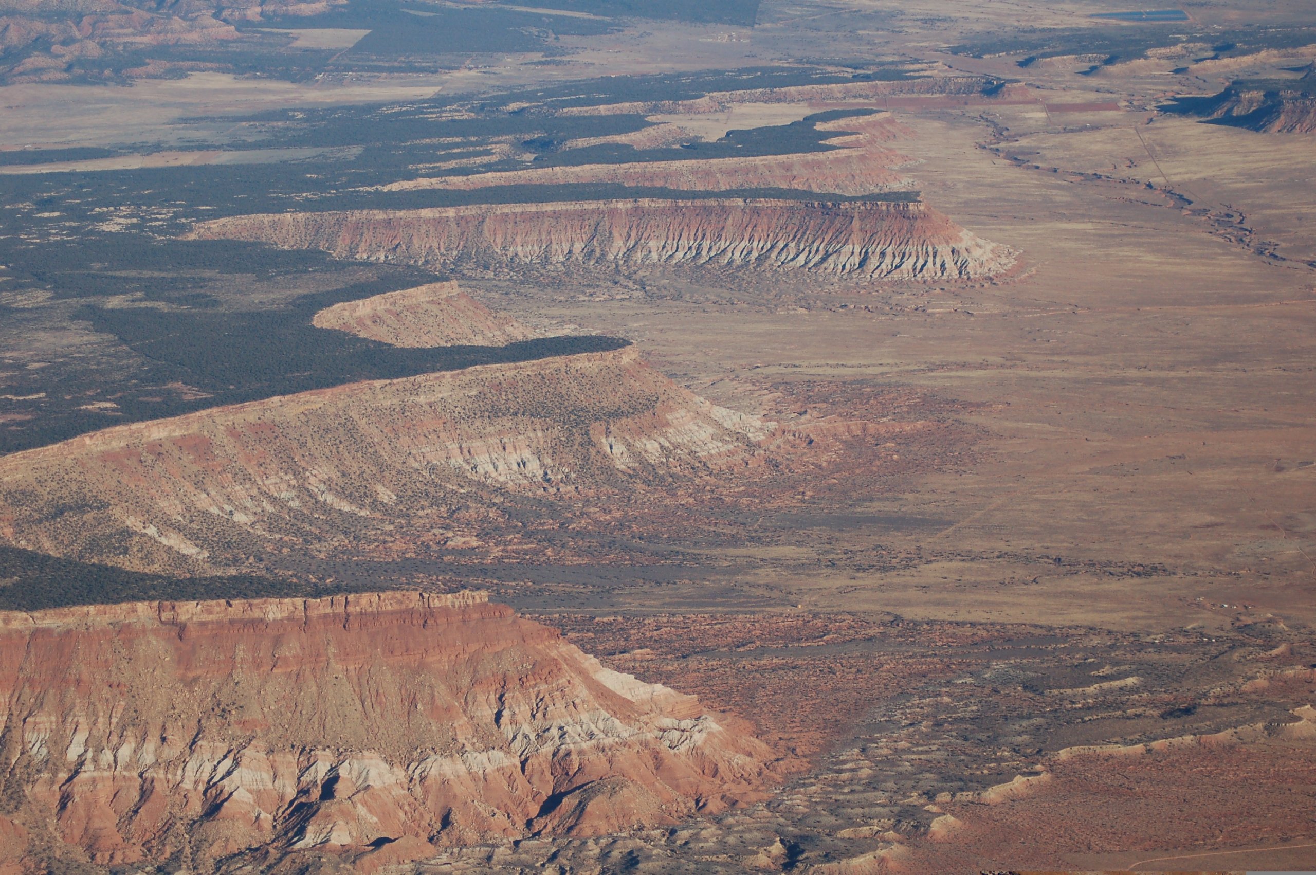 Experts with Stellar Credentials